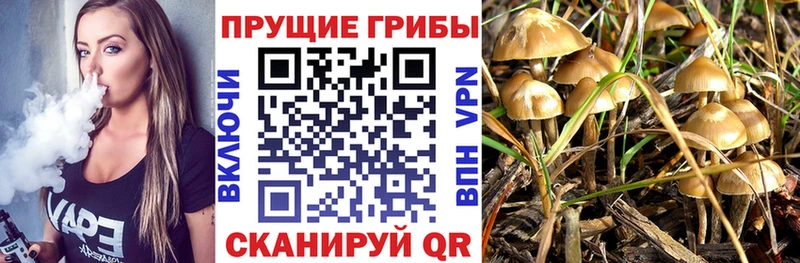 Псилоцибиновые грибы MAGIC MUSHROOMS  даркнет сайт  mega ссылка  Хилок 
